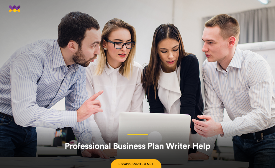 Professional Business Plan Writer Help